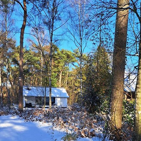 Bungalow, Vrijstaand, Het Vosseven Nr 38 Stramproy Exteriér fotografie