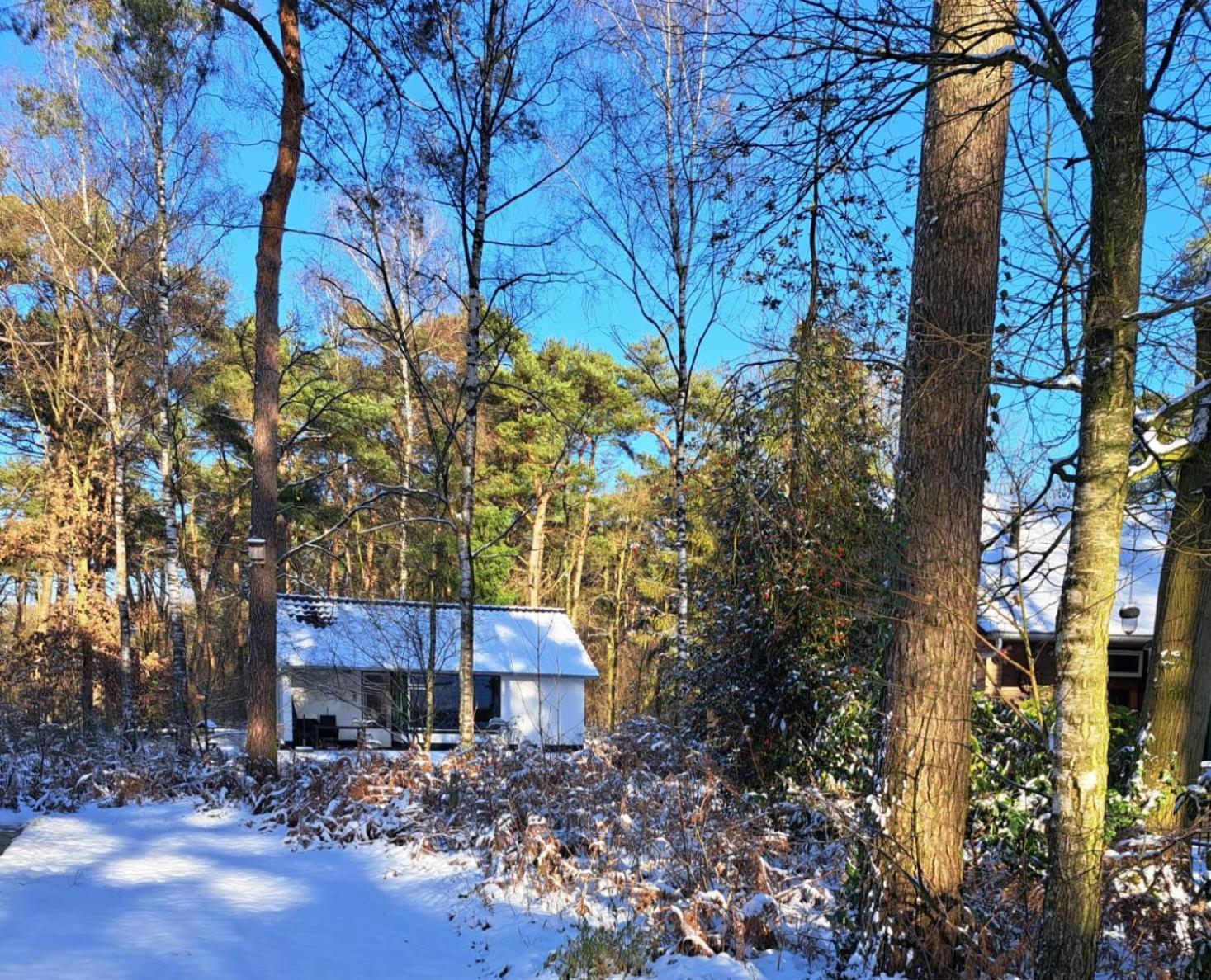 Bungalow, Vrijstaand, Het Vosseven Nr 38 Stramproy Exteriér fotografie